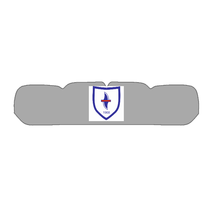 Hockey Design hammassuoja
